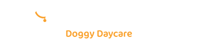 Four Paws Inn - Doggy Daycare