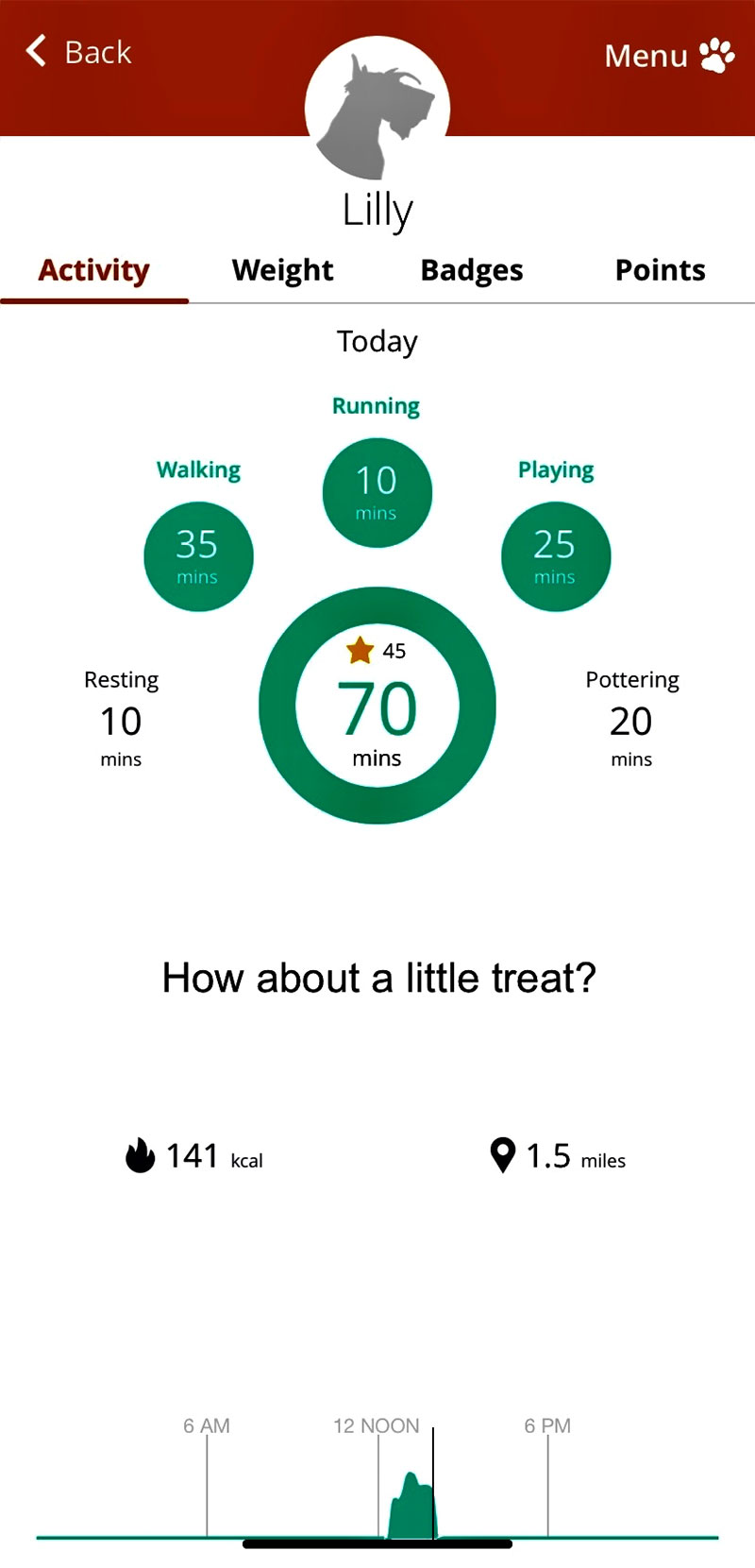 Dog walk stats